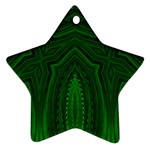 Freshspring3 Star Ornament (Two Sides) Back