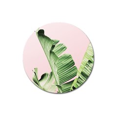 Palm Leaves On Pink Magnet 3  (round) by goljakoff