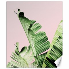 Palm Leaves On Pink Canvas 8  X 10  by goljakoff