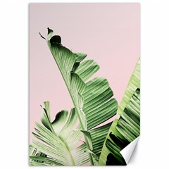 Palm Leaves On Pink Canvas 12  X 18  by goljakoff