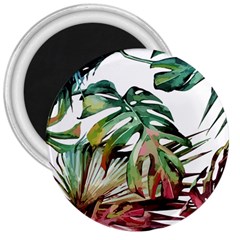 Tropical Leaves 3  Magnets by goljakoff