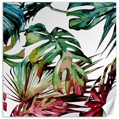 Tropical Leaves Canvas 20  X 20  by goljakoff