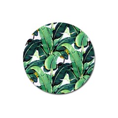 Banana Leaves Magnet 3  (round) by goljakoff