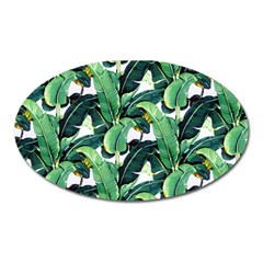 Banana Leaves Oval Magnet by goljakoff