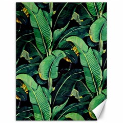 Night Banana Leaves Canvas 12  X 16  by goljakoff