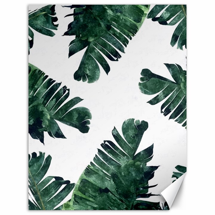 Banana leaves Canvas 12  x 16 