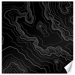 Black Topography Canvas 20  X 20  by goljakoff