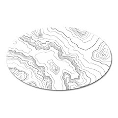 Topography Map Oval Magnet by goljakoff