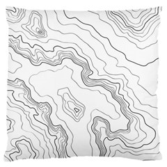 Topography Map Standard Flano Cushion Case (two Sides) by goljakoff