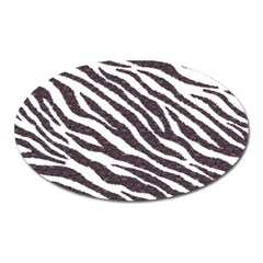 Zebra Oval Magnet by PollyParadise