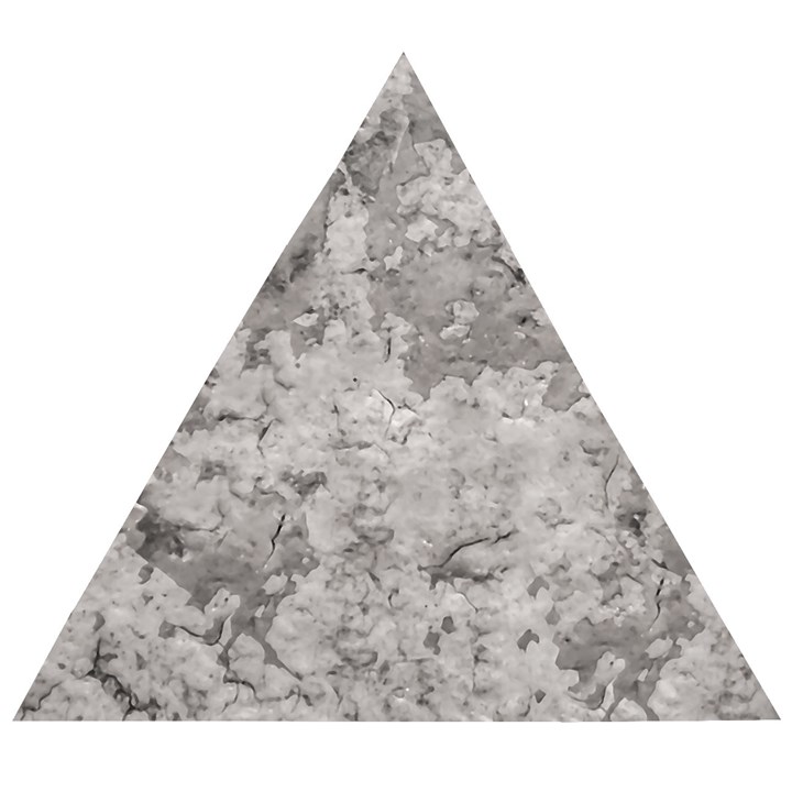 Silver Abstract Grunge Texture Print Wooden Puzzle Triangle