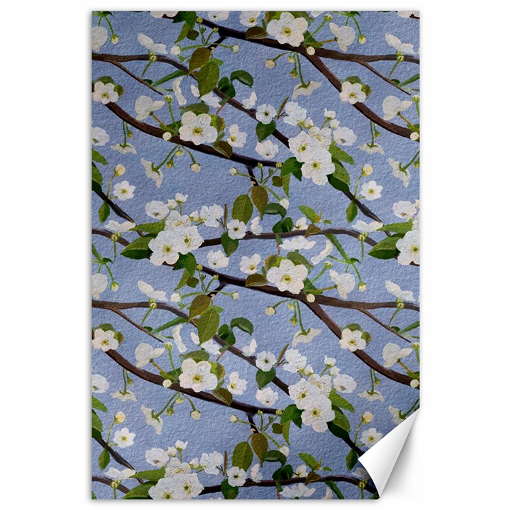 Pear Branch With Flowers Canvas 24  x 36 