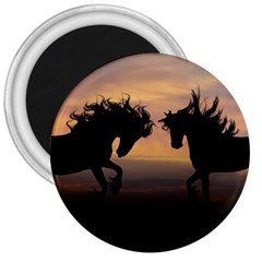 Evening Horses 3  Magnets by LW323