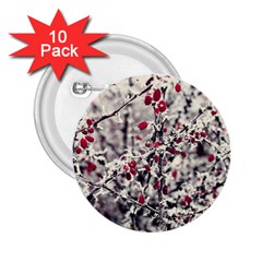 Berries In Winter, Fruits In Vintage Style Photography 2 25  Buttons (10 Pack)  by Casemiro