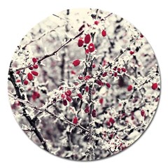 Berries In Winter, Fruits In Vintage Style Photography Magnet 5  (round)