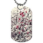 Berries in Winter, fruits in vintage style photography Dog Tag (Two Sides) Front