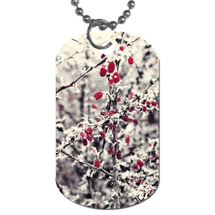 Berries in Winter, fruits in vintage style photography Dog Tag (Two Sides)