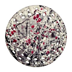 Berries In Winter, Fruits In Vintage Style Photography Round Filigree Ornament (two Sides)