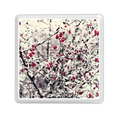 Berries In Winter, Fruits In Vintage Style Photography Memory Card Reader (square)