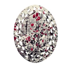 Berries In Winter, Fruits In Vintage Style Photography Ornament (oval Filigree)