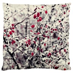 Berries In Winter, Fruits In Vintage Style Photography Large Cushion Case (two Sides)