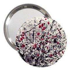 Berries In Winter, Fruits In Vintage Style Photography 3  Handbag Mirrors