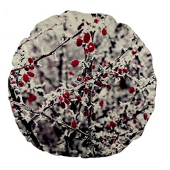 Berries In Winter, Fruits In Vintage Style Photography Large 18  Premium Round Cushions