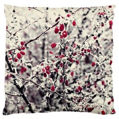 Berries In Winter, Fruits In Vintage Style Photography Standard Flano Cushion Case (two Sides)