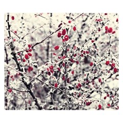 Berries In Winter, Fruits In Vintage Style Photography Double Sided Flano Blanket (small) 