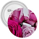 Magenta roses 3  Buttons Front