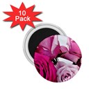 Magenta roses 1.75  Magnets (10 pack)  Front