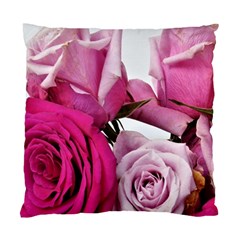 Magenta Roses Standard Cushion Case (two Sides) by kaleidomarblingart