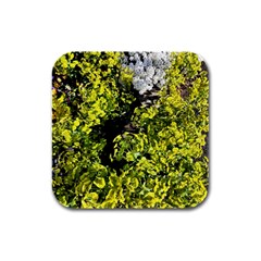 Acid Green Patterns Rubber Square Coaster (4 Pack)  by kaleidomarblingart