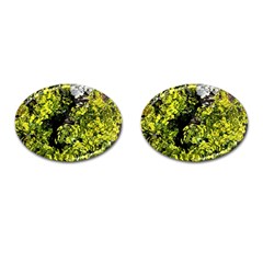 Acid Green Patterns Cufflinks (oval) by kaleidomarblingart