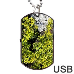 Acid Green Patterns Dog Tag Usb Flash (one Side) by kaleidomarblingart