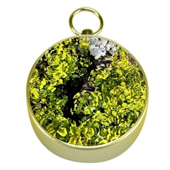 Acid Green Patterns Gold Compasses by kaleidomarblingart