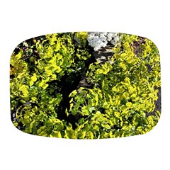 Acid Green Patterns Mini Square Pill Box