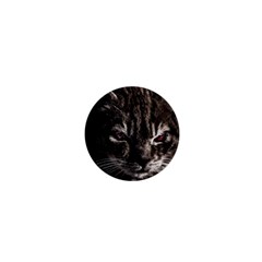 Creepy Kitten Portrait Photo Illustration 1  Mini Buttons