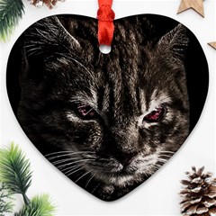 Creepy Kitten Portrait Photo Illustration Ornament (heart)