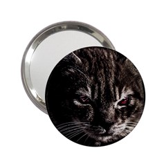 Creepy Kitten Portrait Photo Illustration 2 25  Handbag Mirrors by dflcprintsclothing