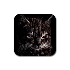 Creepy Kitten Portrait Photo Illustration Rubber Coaster (square)  by dflcprintsclothing