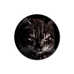 Creepy Kitten Portrait Photo Illustration Rubber Round Coaster (4 Pack)  by dflcprintsclothing