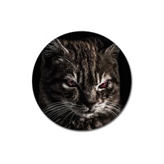 Creepy Kitten Portrait Photo Illustration Magnet 3  (round) by dflcprintsclothing