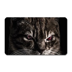 Creepy Kitten Portrait Photo Illustration Magnet (rectangular) by dflcprintsclothing