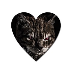 Creepy Kitten Portrait Photo Illustration Heart Magnet by dflcprintsclothing