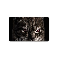 Creepy Kitten Portrait Photo Illustration Magnet (name Card) by dflcprintsclothing