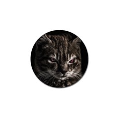 Creepy Kitten Portrait Photo Illustration Golf Ball Marker by dflcprintsclothing