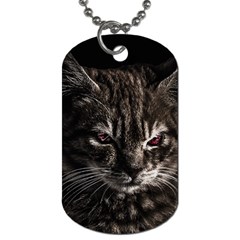 Creepy Kitten Portrait Photo Illustration Dog Tag (two Sides) by dflcprintsclothing