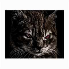 Creepy Kitten Portrait Photo Illustration Small Glasses Cloth by dflcprintsclothing