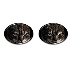 Creepy Kitten Portrait Photo Illustration Cufflinks (oval) by dflcprintsclothing